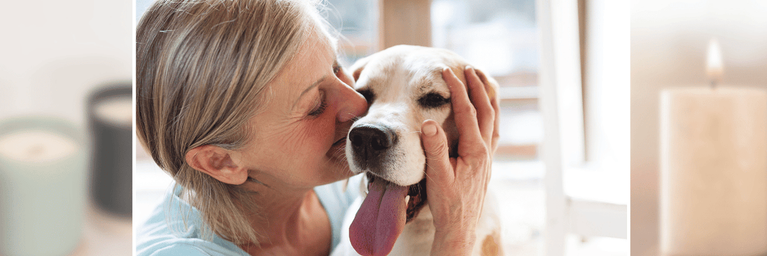 Are Soy Candles Safe for Pets? - LaMoon Candle
