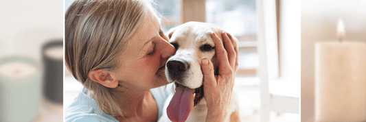 Are Soy Candles Safe for Pets? - LaMoon Candle