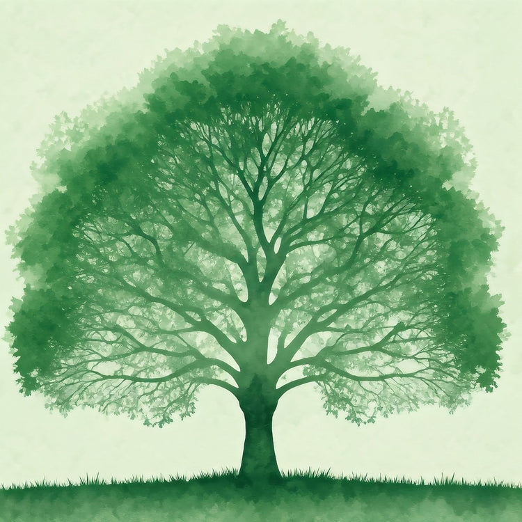 Green Glass Candles - LaMoon Candle