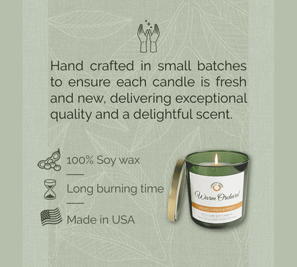 Warm Orchard - Forest Green Tumbler Soy Wax Candle - LaMoon Candle