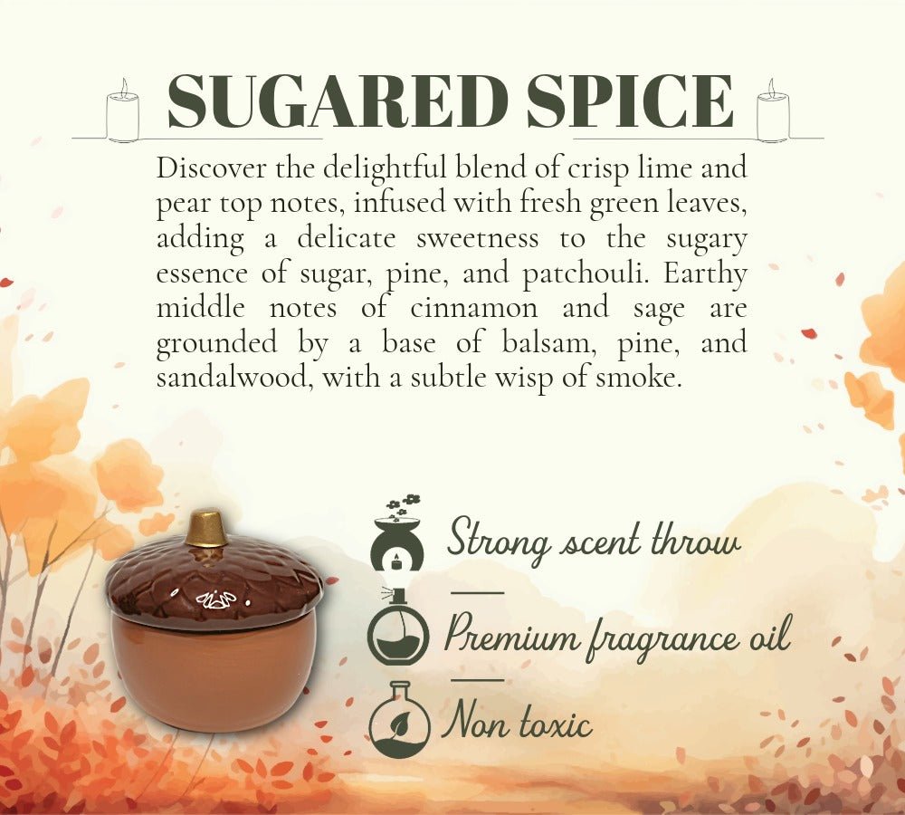 Sugared Spice - Acorn Soy Wax Candle - LaMoon Candle